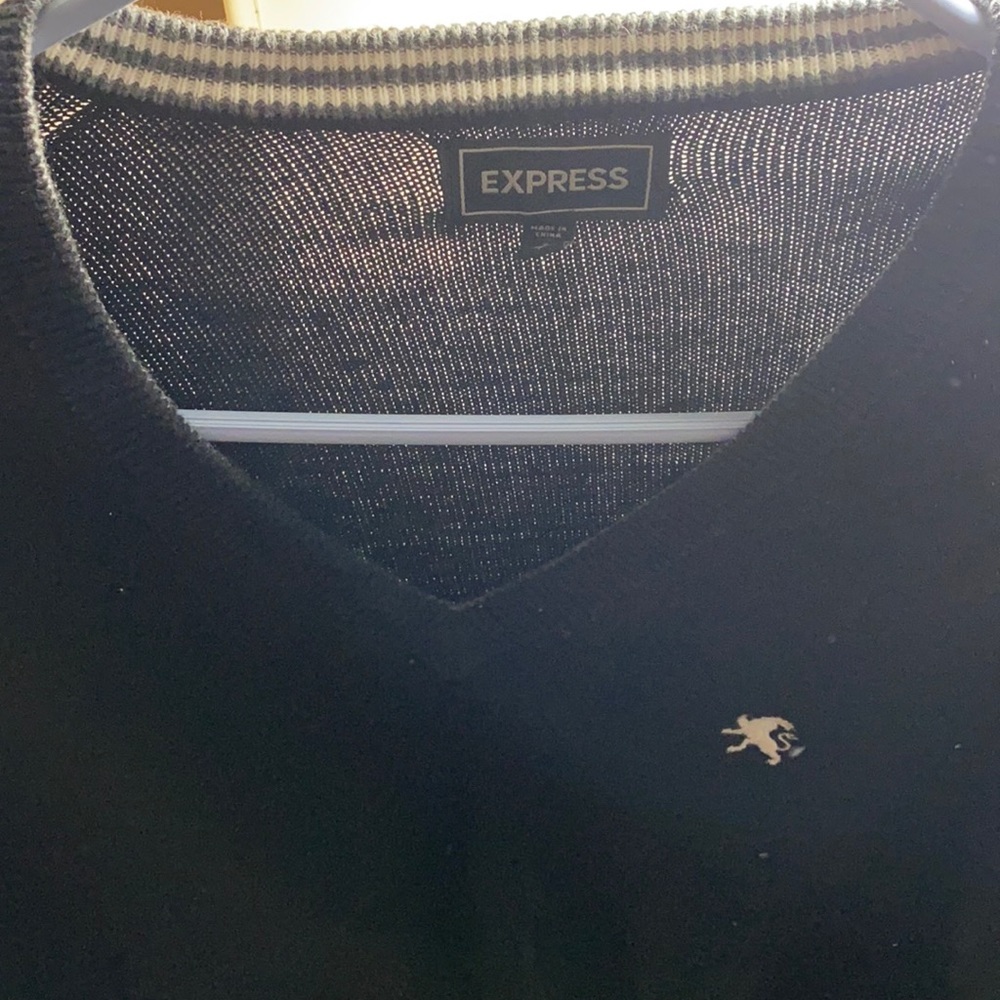 Express sweater